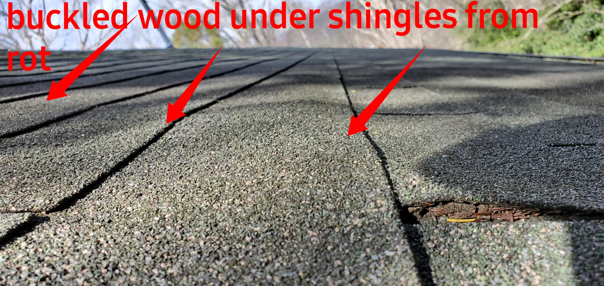 Buckled Wood under shingles