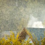 find a roof leak, roof leak detection Asheville, how to detect roof leaks, roof repair Asheville NC, roofing contractors Asheville, roof inspection tips, signs of roof leaks, water damage roof, emergency roof repair, leak under shingles, attic roof leak guide, how to spot a roof leak, roof leak Asheville, Litespeed Construction, shingle roof leak