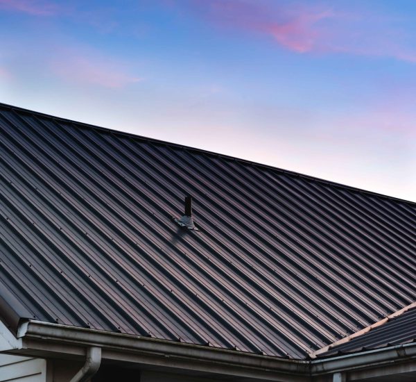 a-beautiful-house-metal-roof-during-the-sunset-2025-02-09-20-04-55-utc (1)