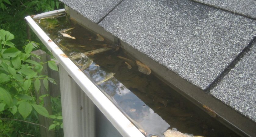clogged gutter by akeg