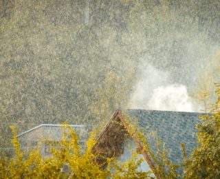 find a roof leak, roof leak detection Asheville, how to detect roof leaks, roof repair Asheville NC, roofing contractors Asheville, roof inspection tips, signs of roof leaks, water damage roof, emergency roof repair, leak under shingles, attic roof leak guide, how to spot a roof leak, roof leak Asheville, Litespeed Construction, shingle roof leak