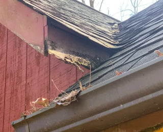 roof damage insurance claims, roof maintenance tips, roof damage Asheville NC, roofing contractor Asheville, roof repair costs, roof replacement Asheville, common roof issues, clogged gutters roof damage, roof leaks repair Asheville, missing shingles repair, NC roofing company, roof inspection tips, home insurance roof damage, prevent roof neglect, roof care guide