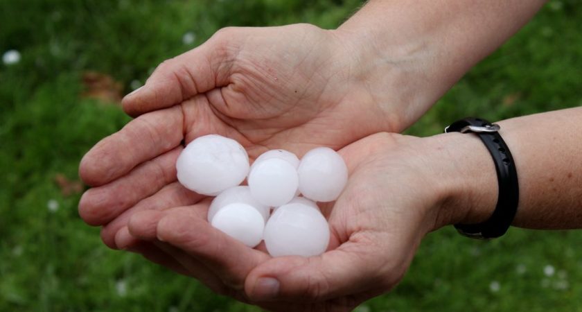 A pair of hands holding freshly dropped hail.